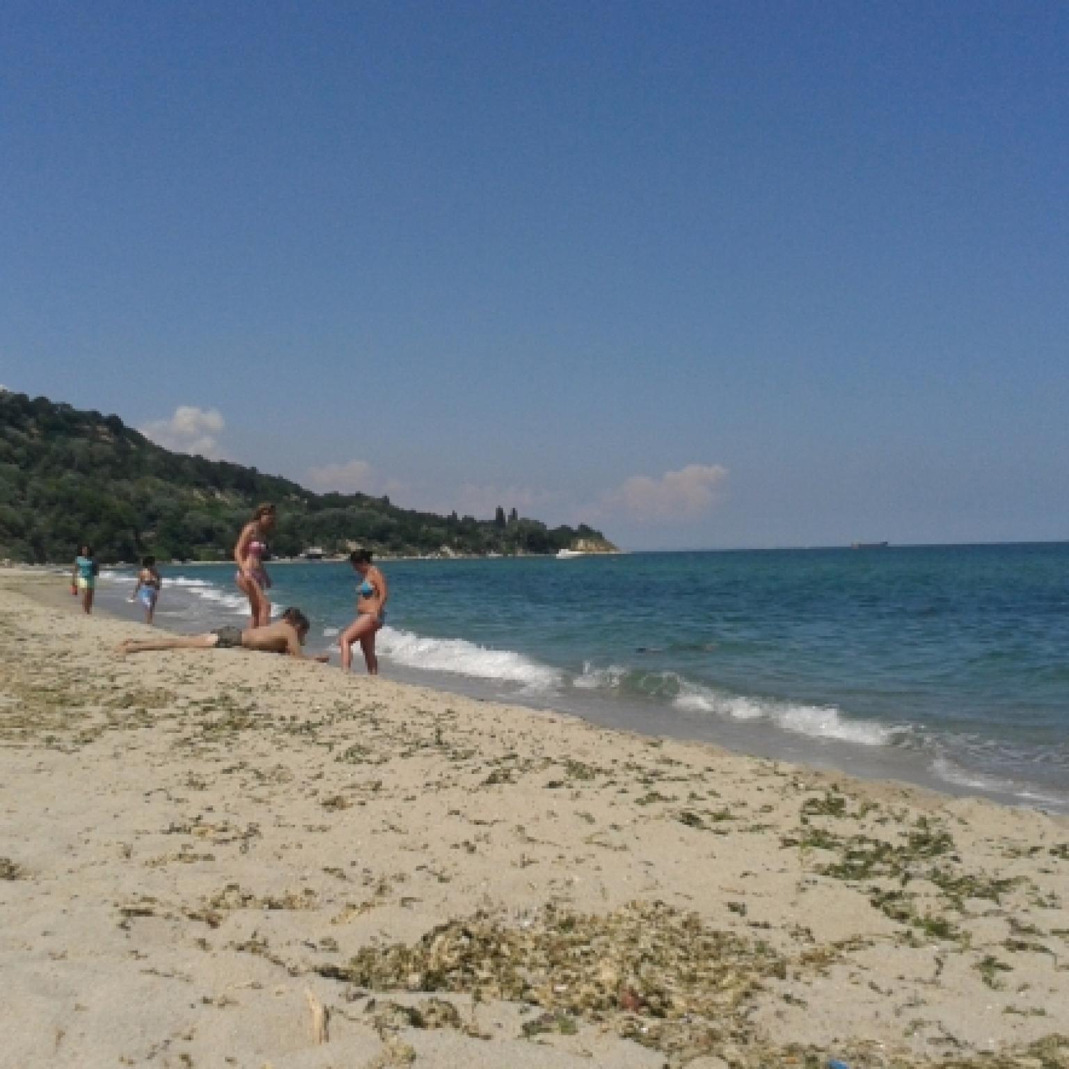 Anton Mitev