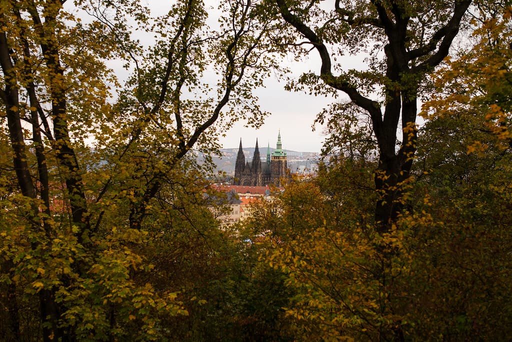 St. Vitus Cathedral