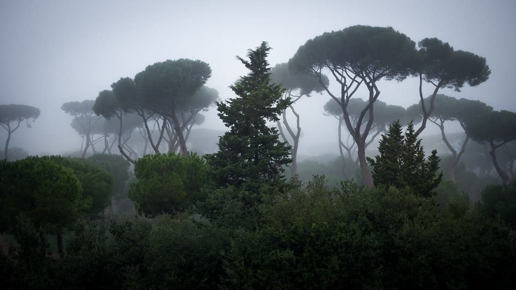 Villa Borghese
