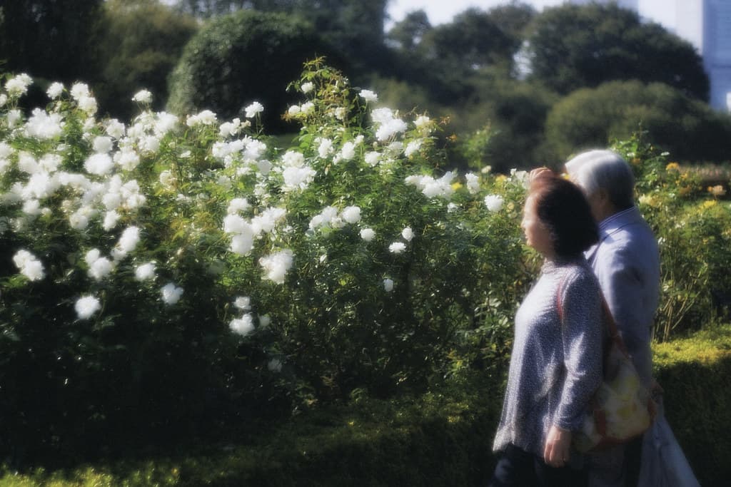 Shinjuku Gyoen