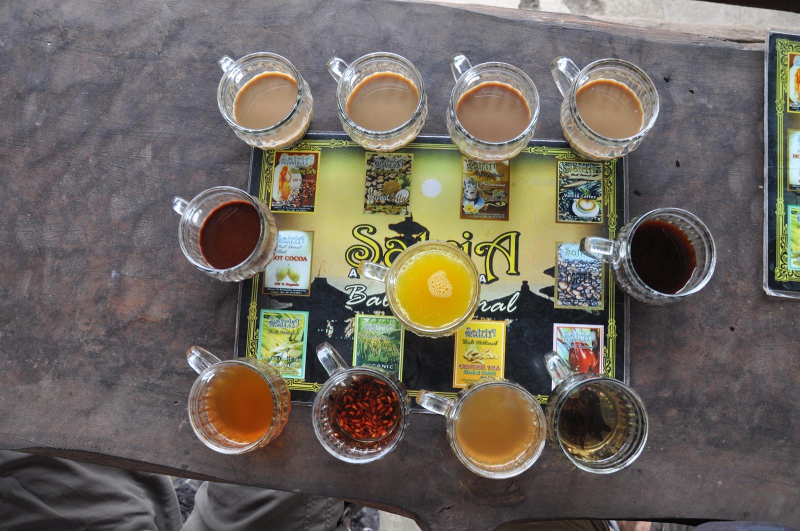 Satria Coffee Plantation