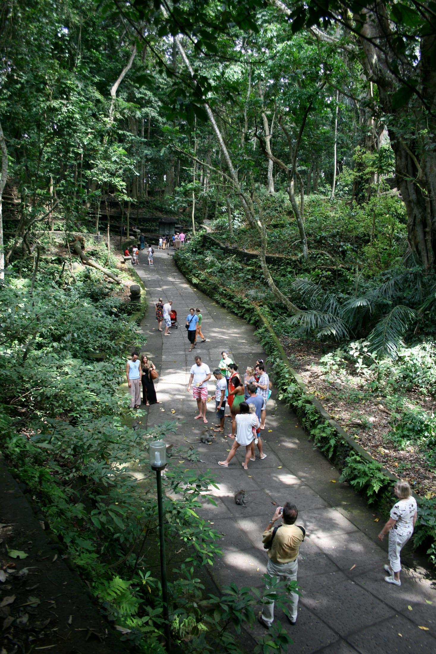 Sacred Monkey Forest Sanctuary