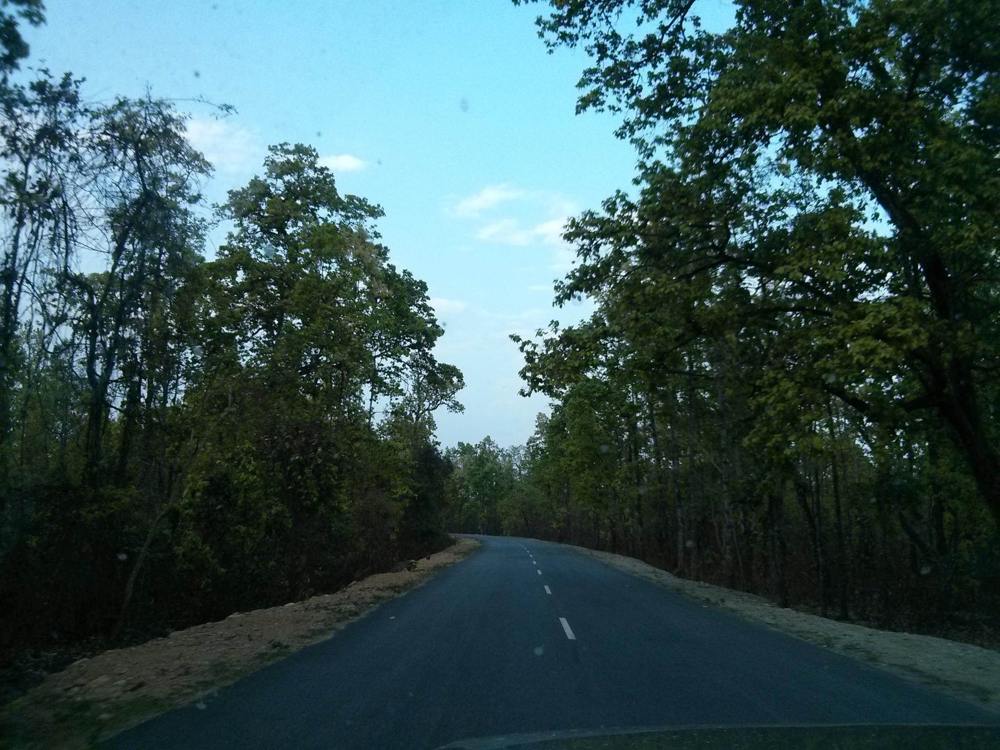 Sonitpur