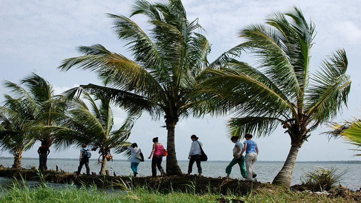 Vembanad Lake