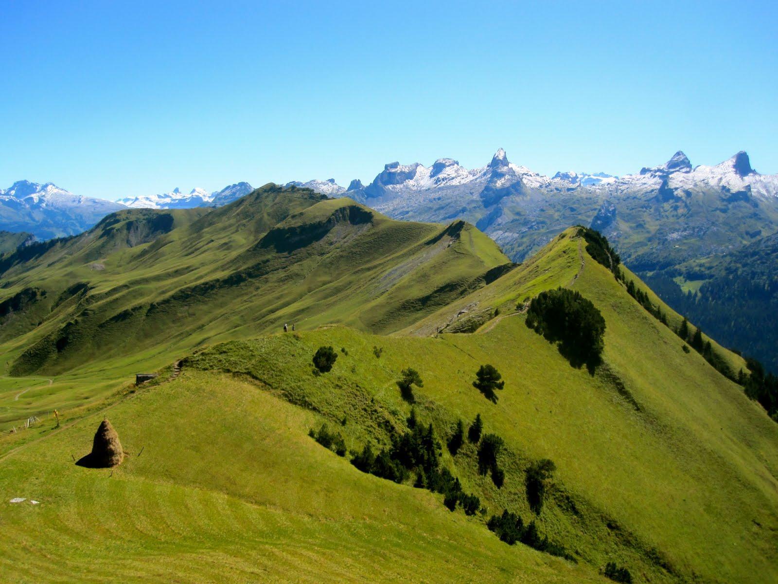 Rigi