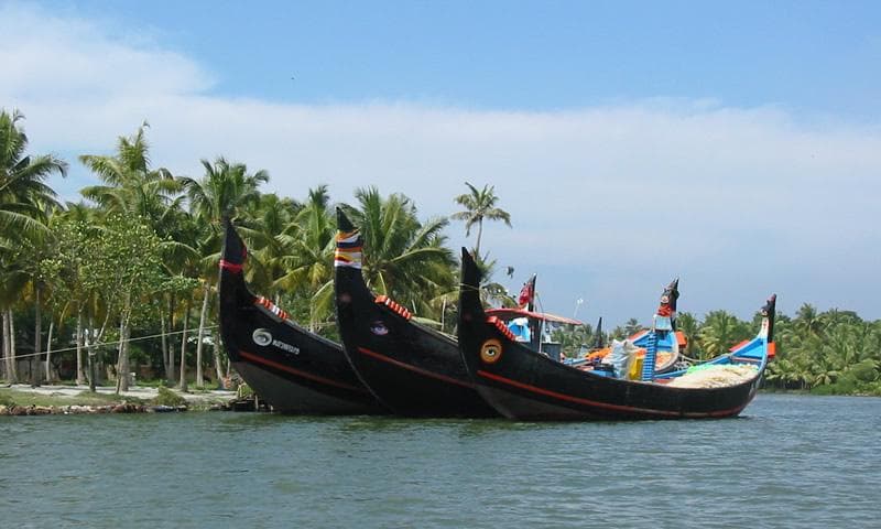 Mudifestival