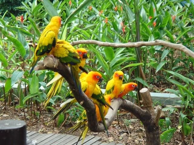 14 Acre Bird Sanctuary