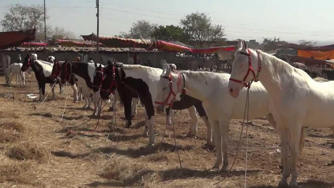 Malegaon