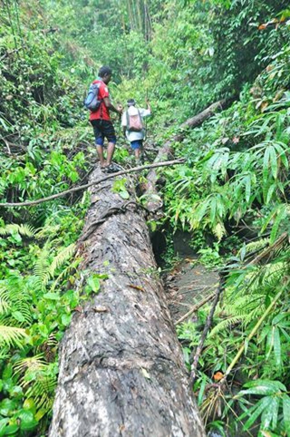 Hilltrack Chittagong