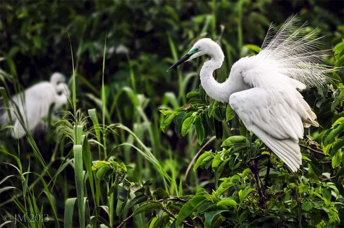 14 Acre Bird Sanctuary