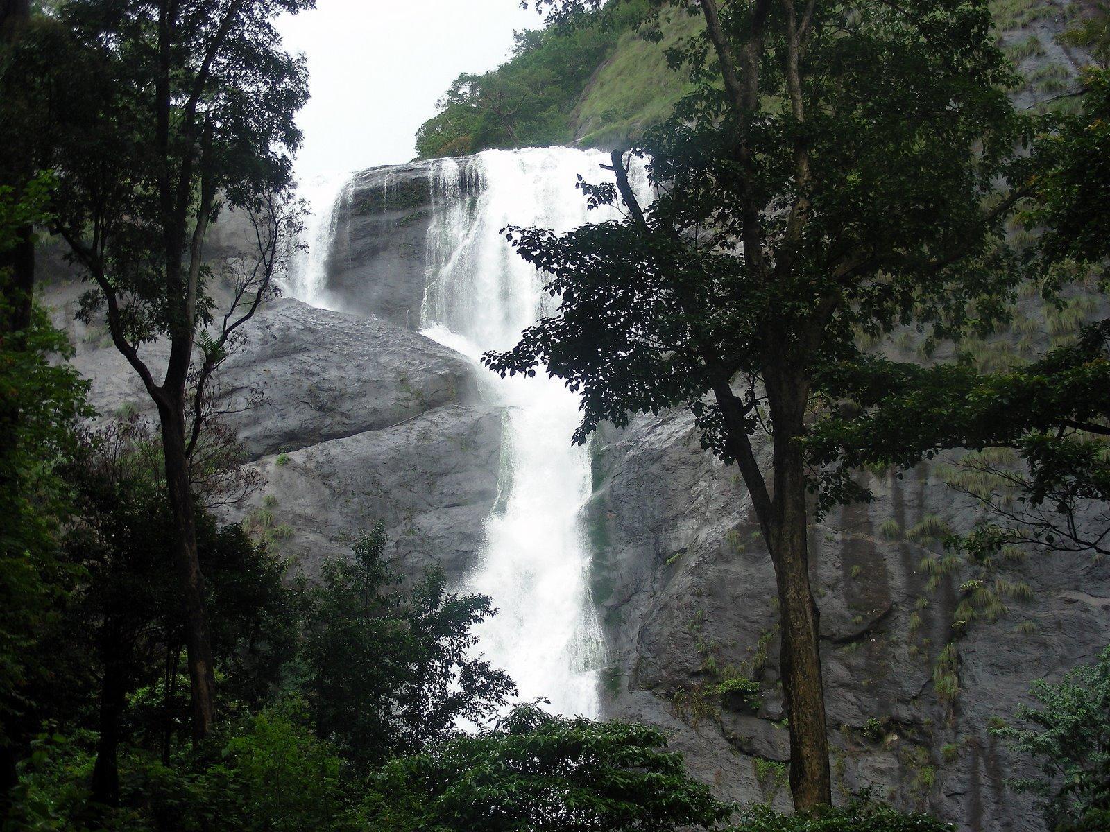Palaruvi Waterfall