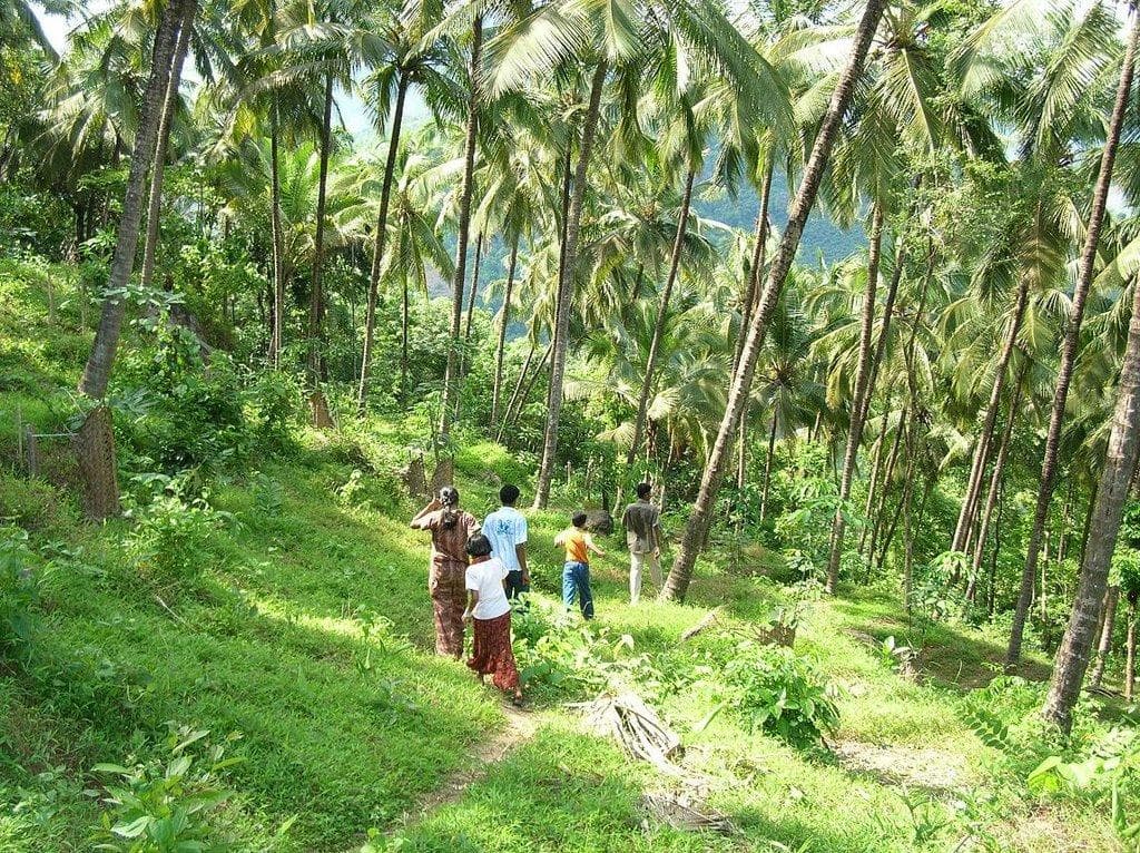 Chinnamanur
