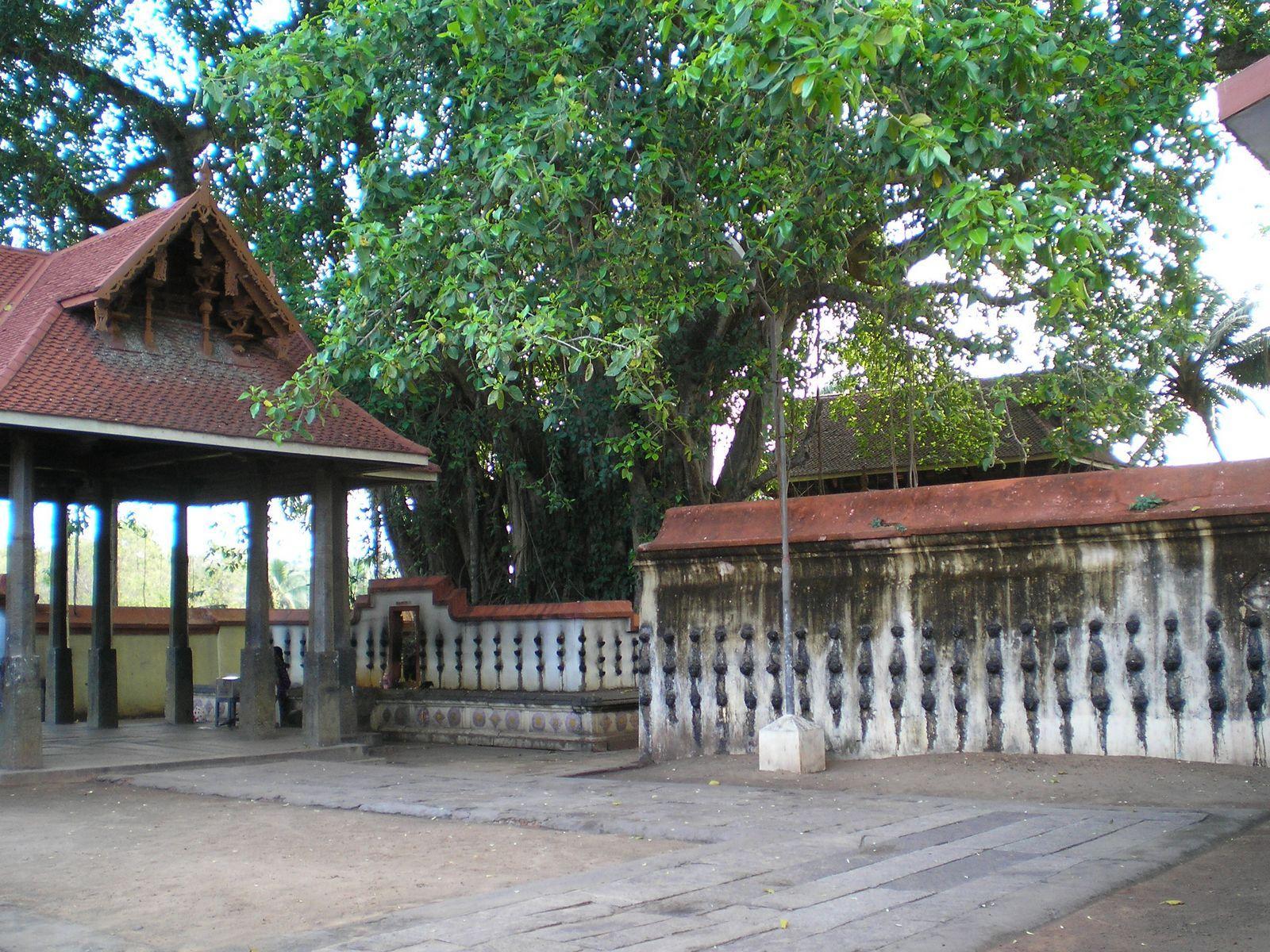 Janardhanaswamy Temple