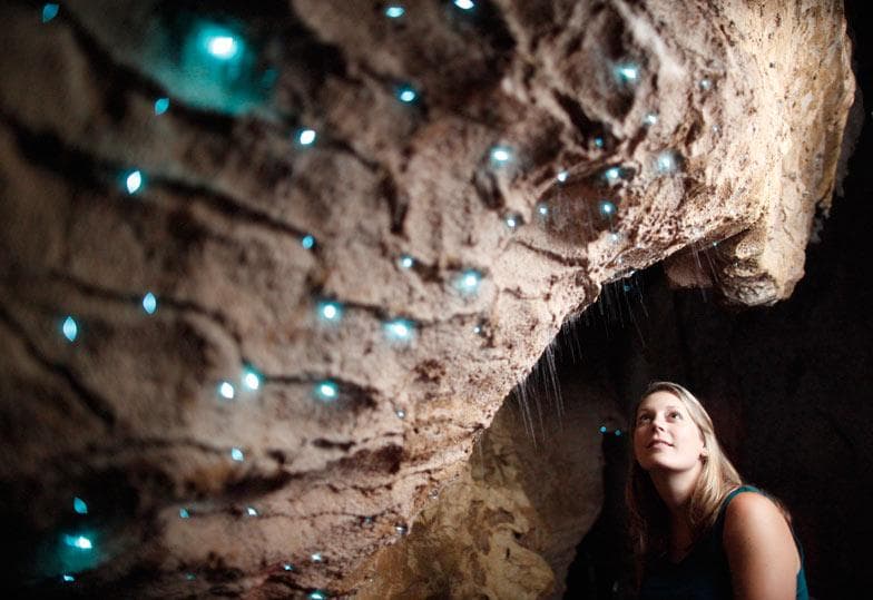 GlowWormCavesRotorua