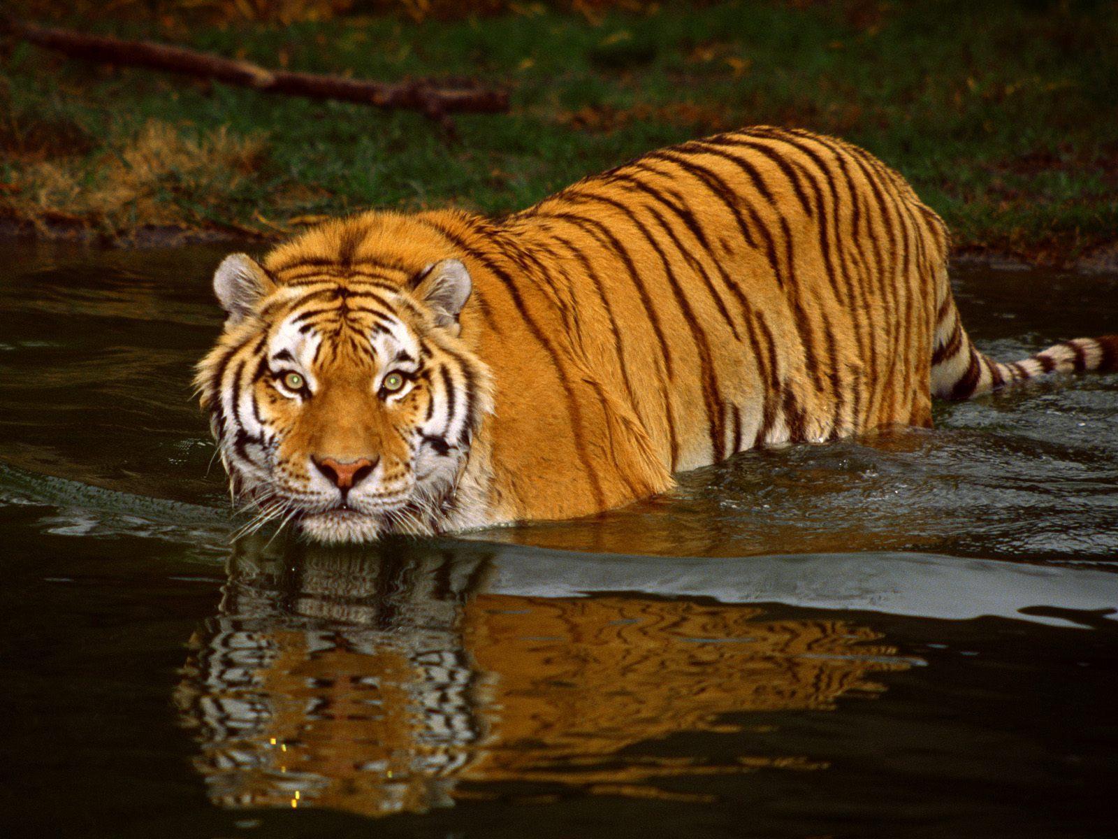 Panna National Park