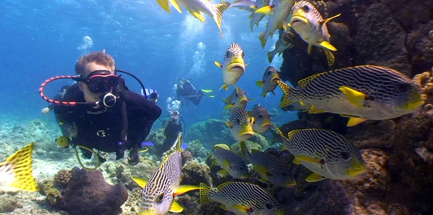 DescendScubaDivingQueenstown