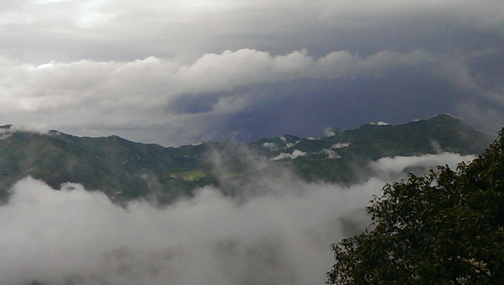 Chail Forest Area