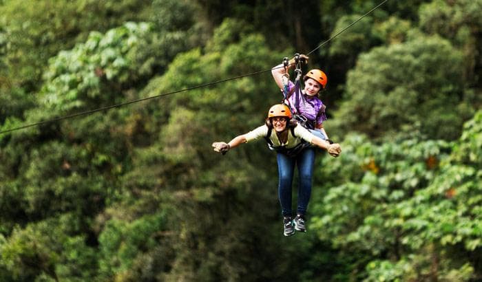 Flying Fox