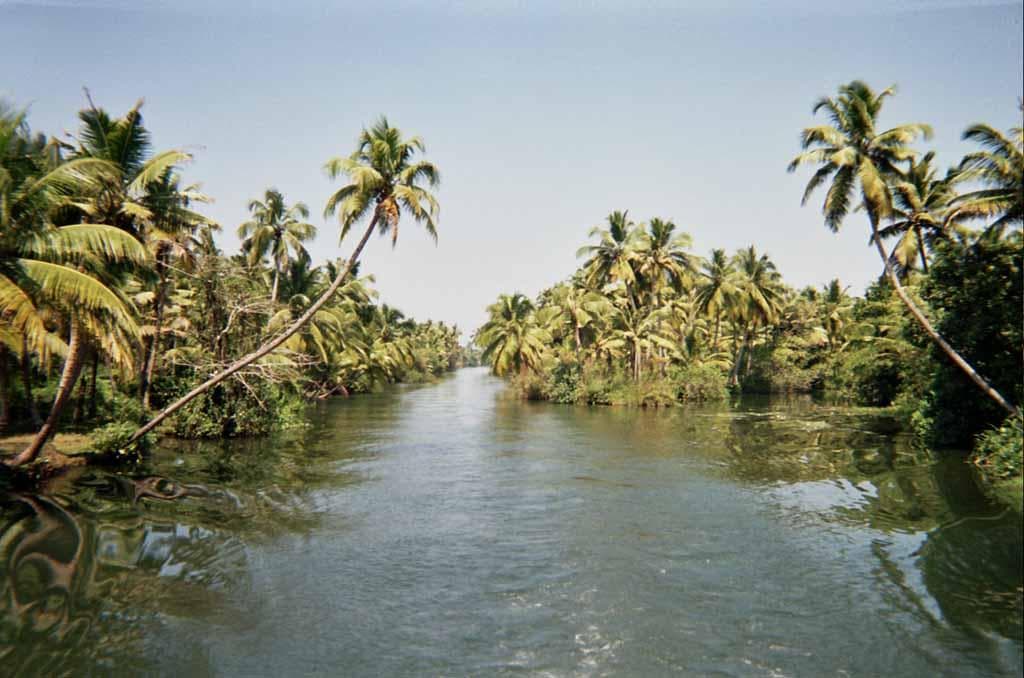 Ashtamudi Lake
