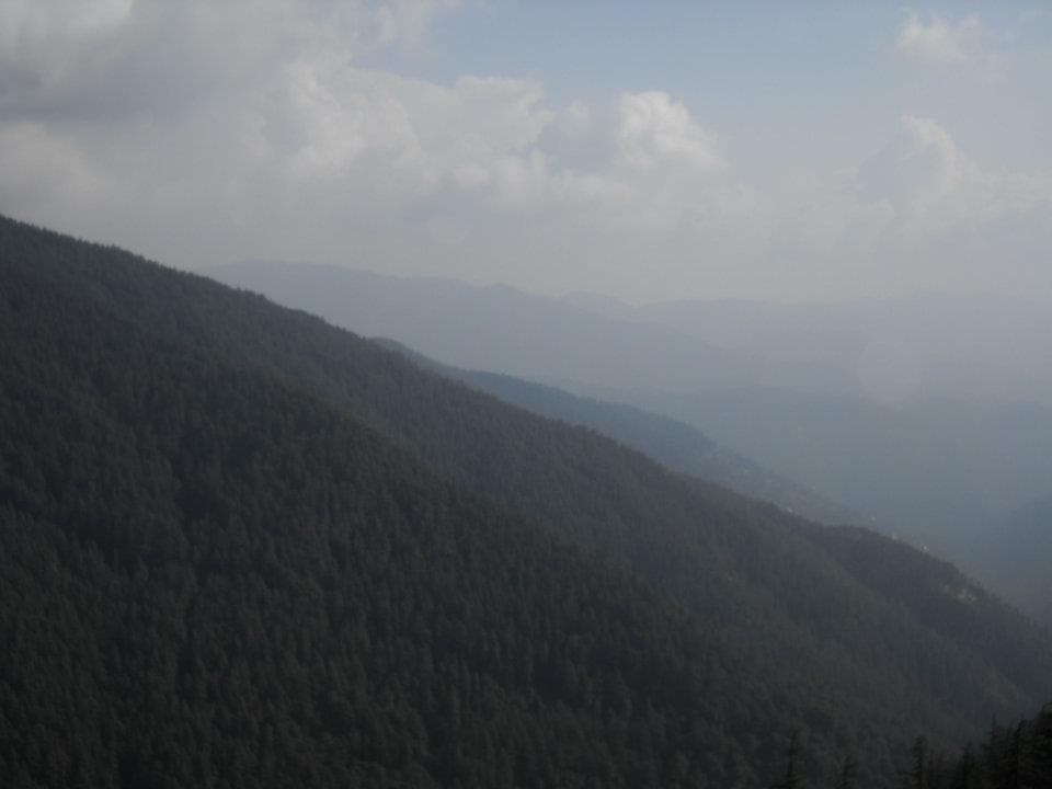 Shimla