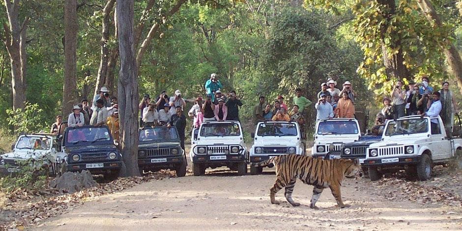 Kanha National Park