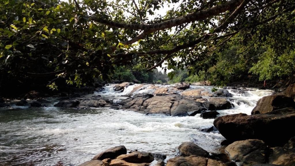 Neyyattinkara