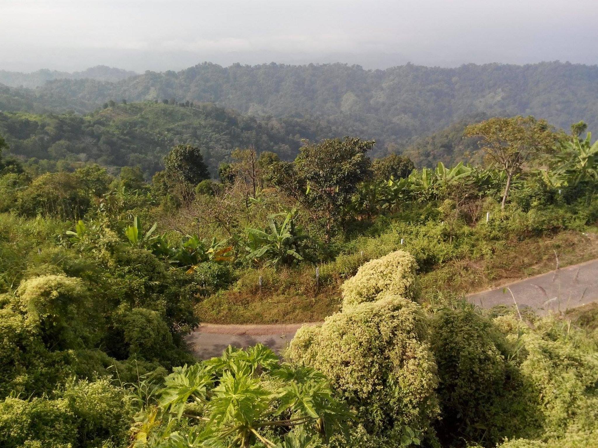Nilgiri Hill Resort