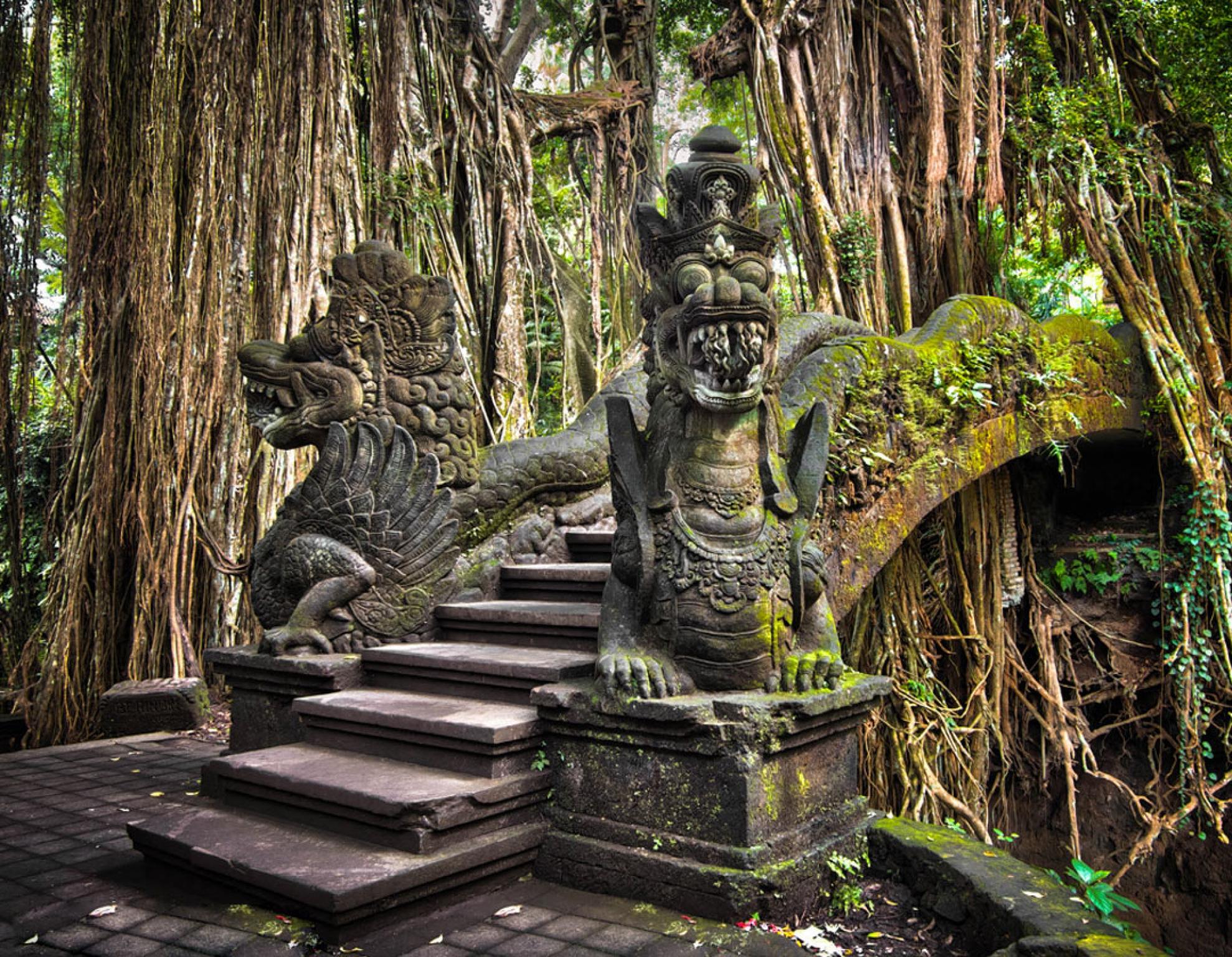 Sacred Monkey Forest Sanctuary