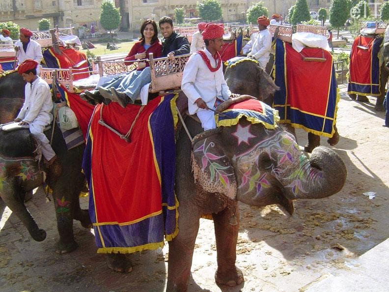 Elephant Safari Jaipur