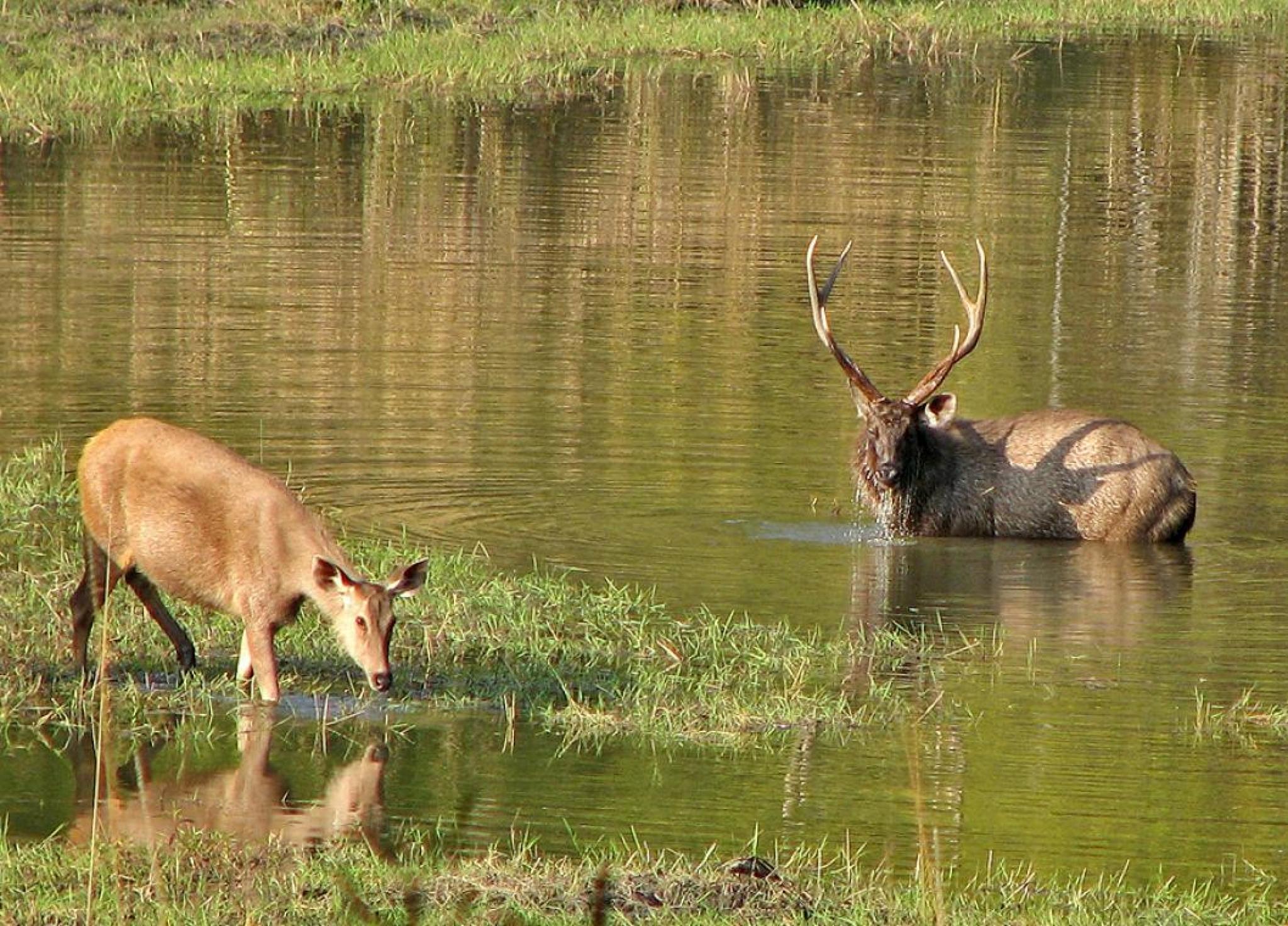 Satpura National Park