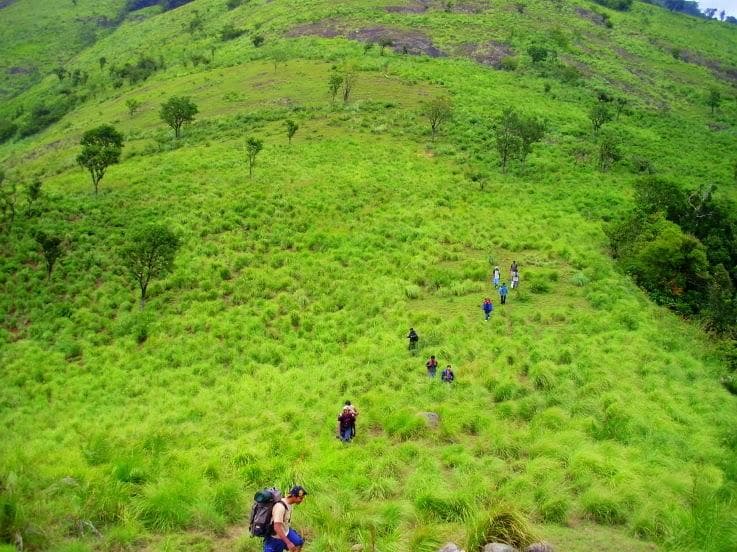 Vellimalai