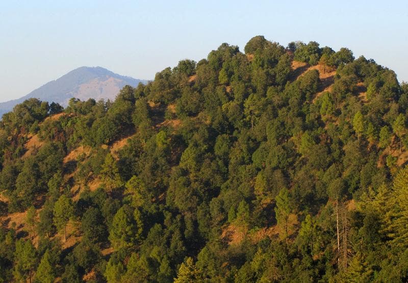 Landour