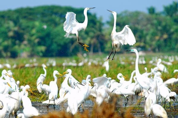 14 Acre Bird Sanctuary