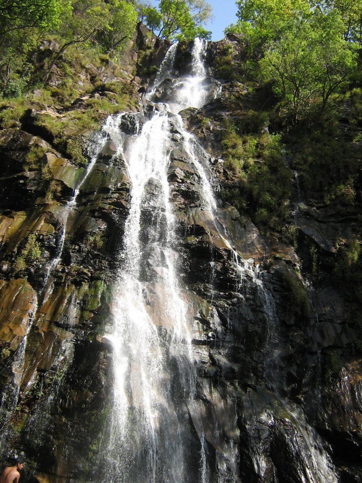 Bee Fall Road