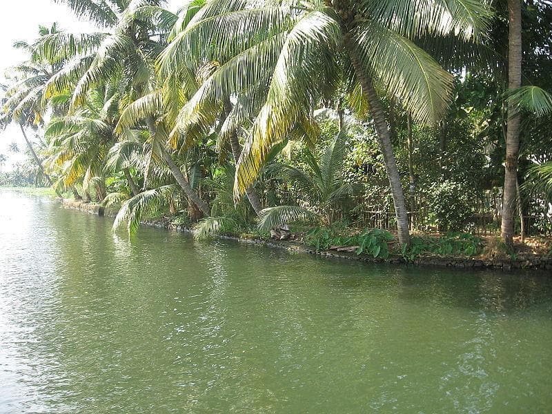 Valiyaparamba Backwaters...