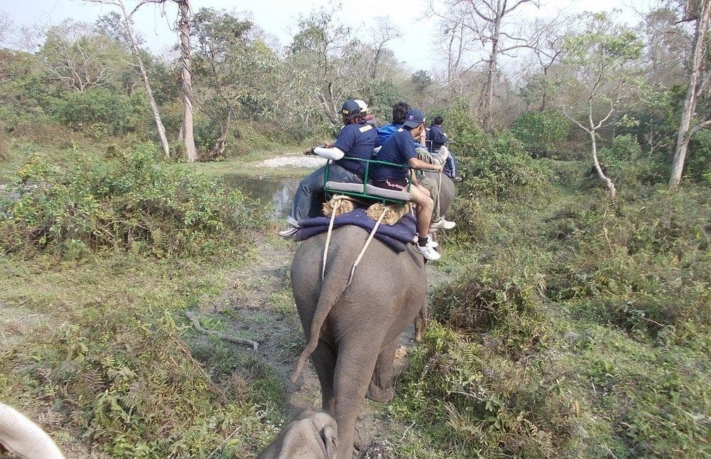Dudhwa National Park
