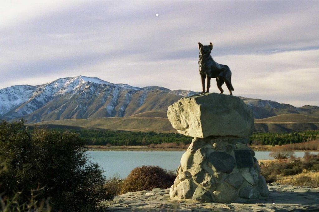 SheepDogStatueTwizel...