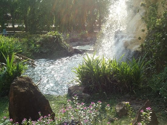 Hirwa Van Garden - Pipariya