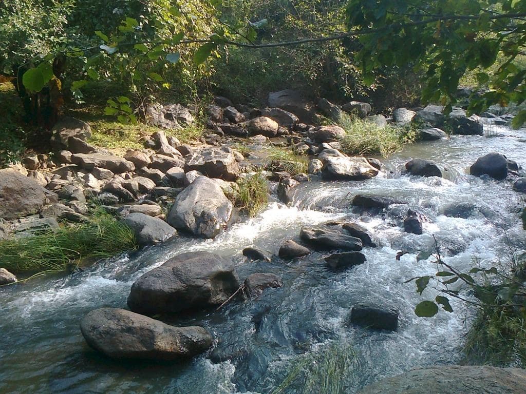 Amirthi Zoological Park