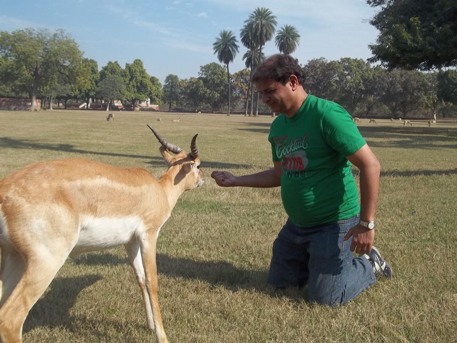 Malsi Deer Park