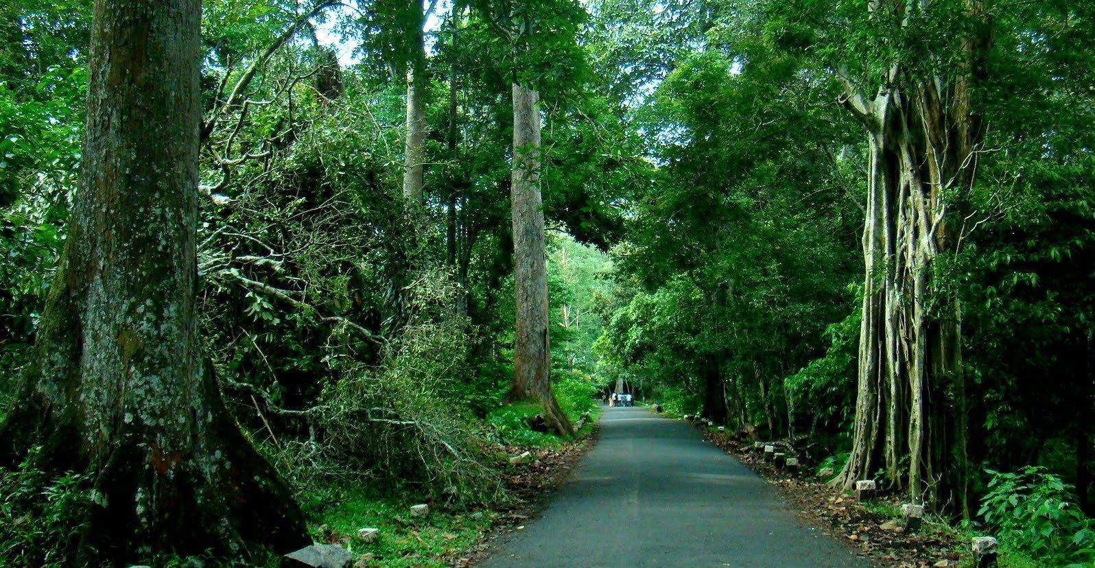 Murikkady