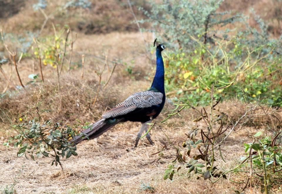 Bhimbandh Wild Life Sanctuary