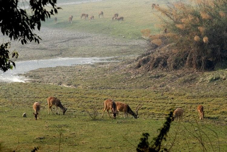 Nana Rao Bagh