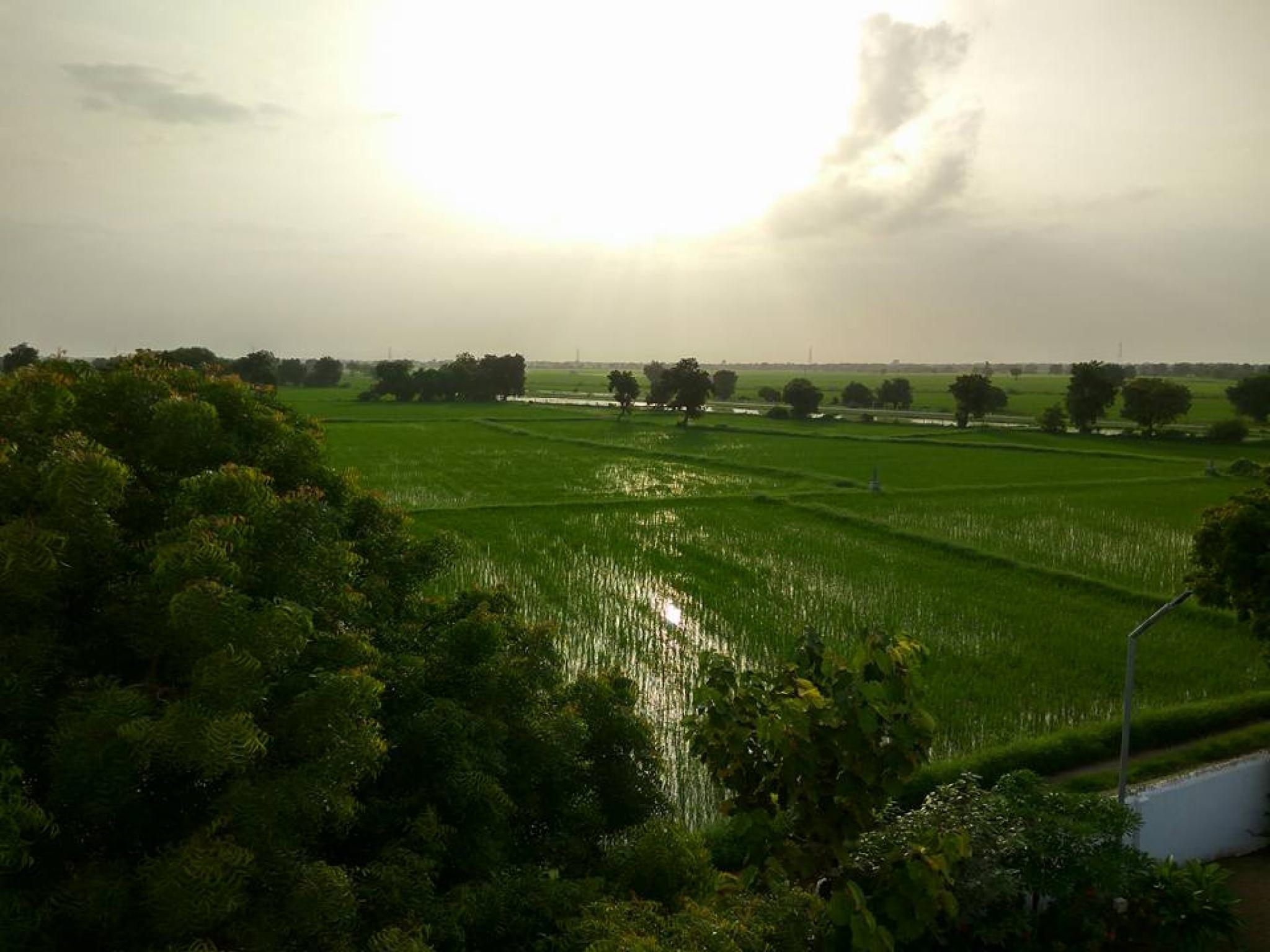 surroundings
