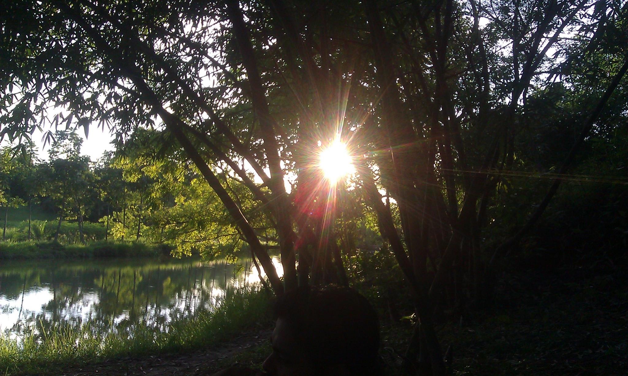 Kushtia