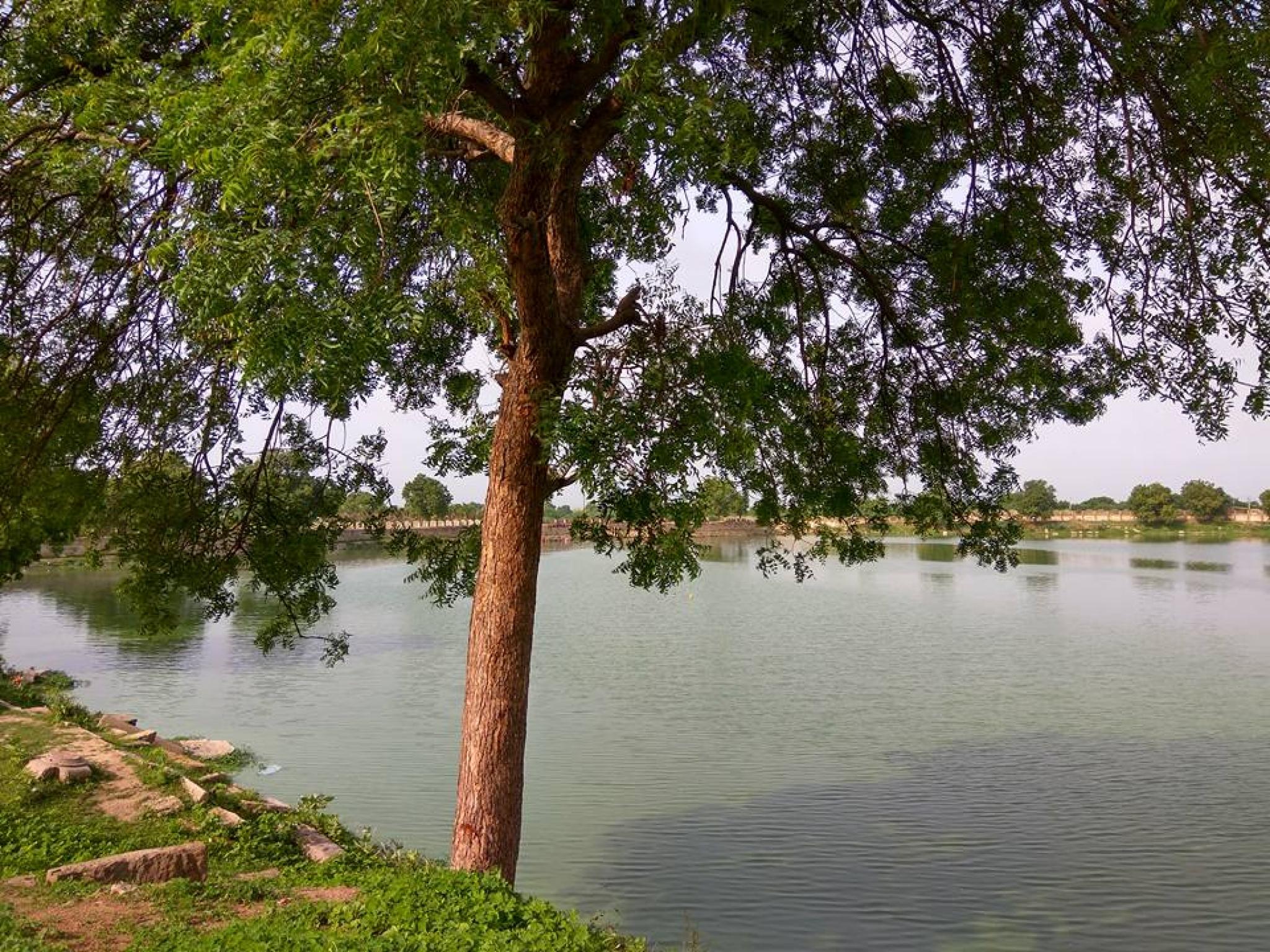 Khan Talav