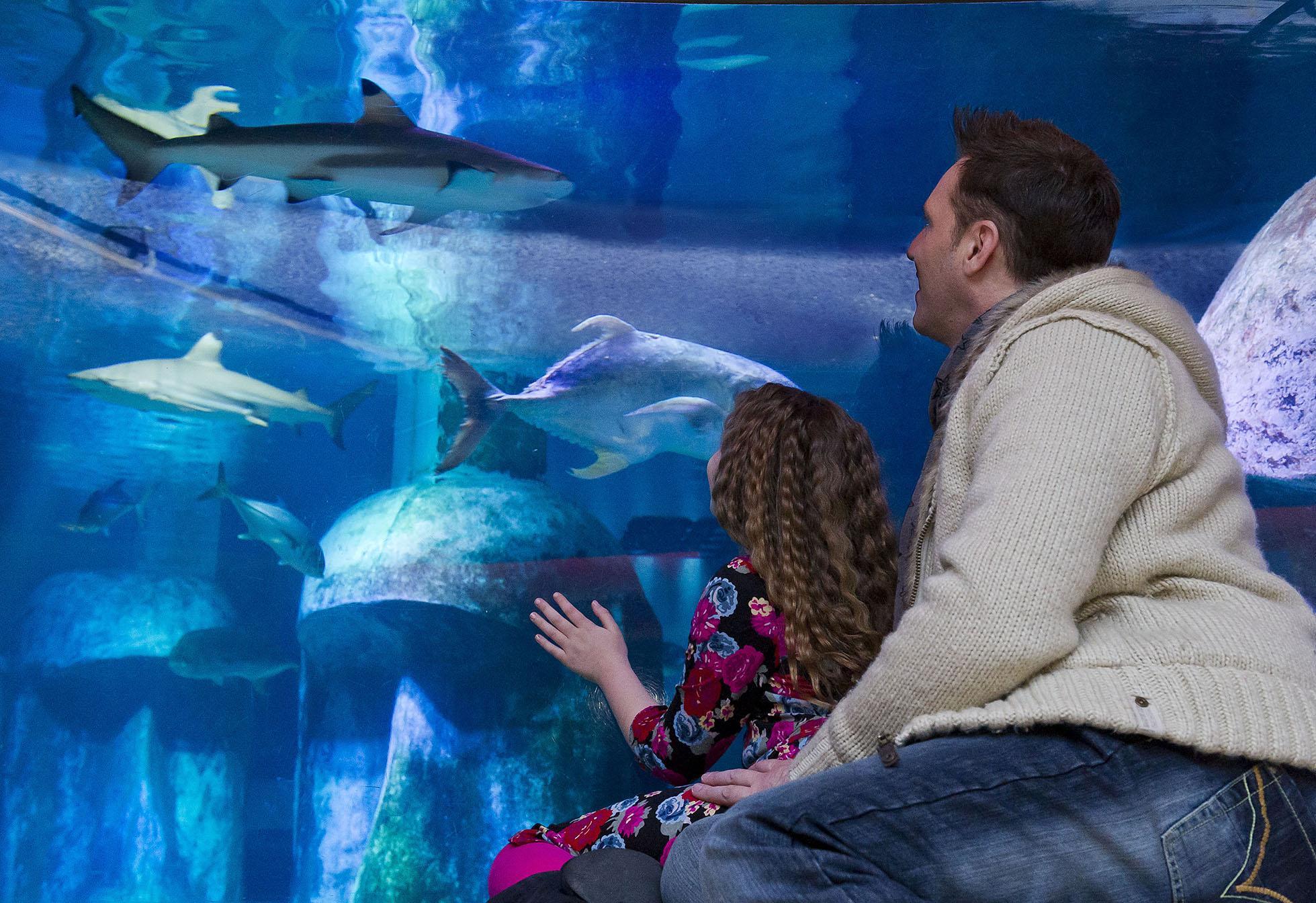 SEA LIFE London Aquarium
