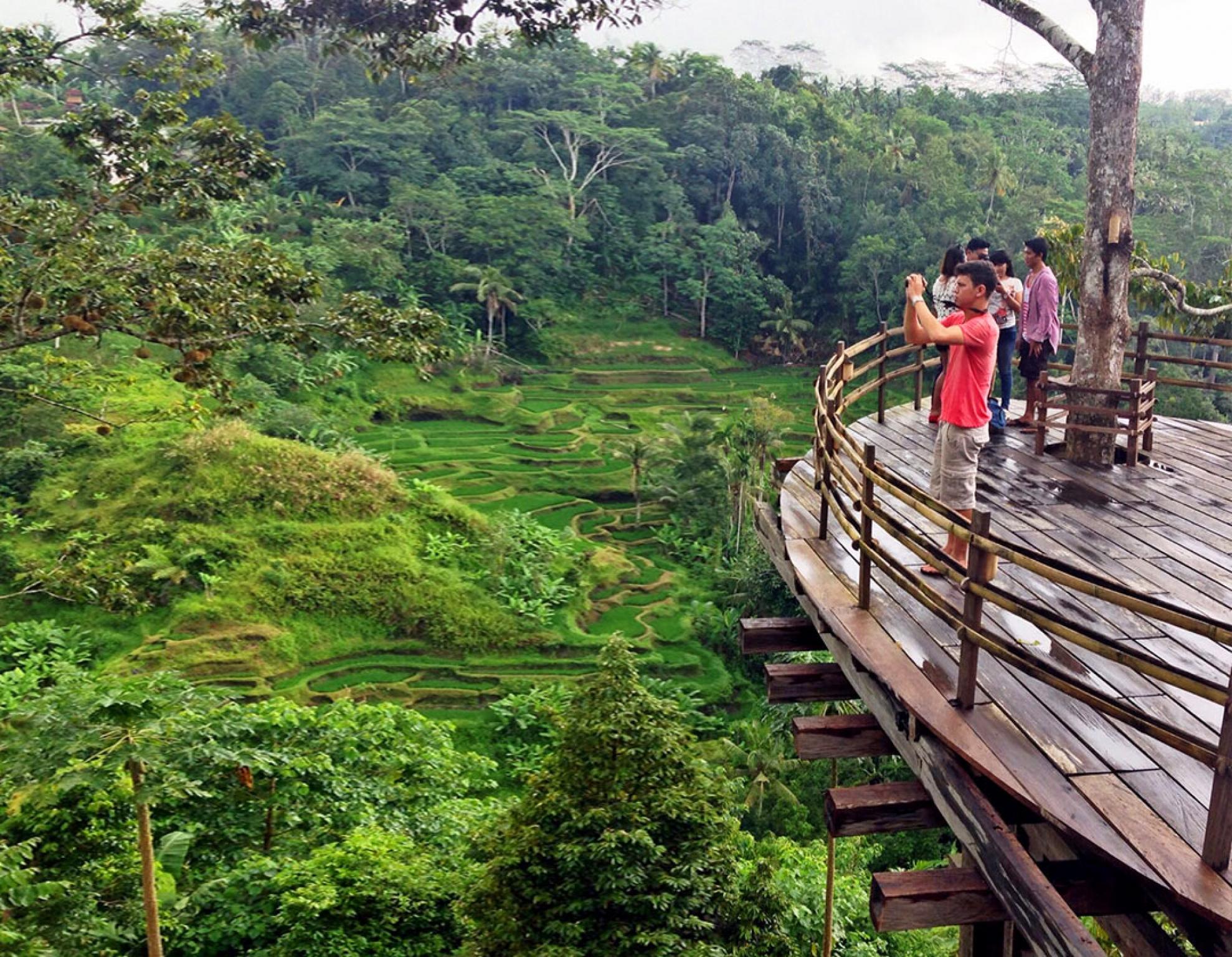 Bali Pulina Agro Tourism