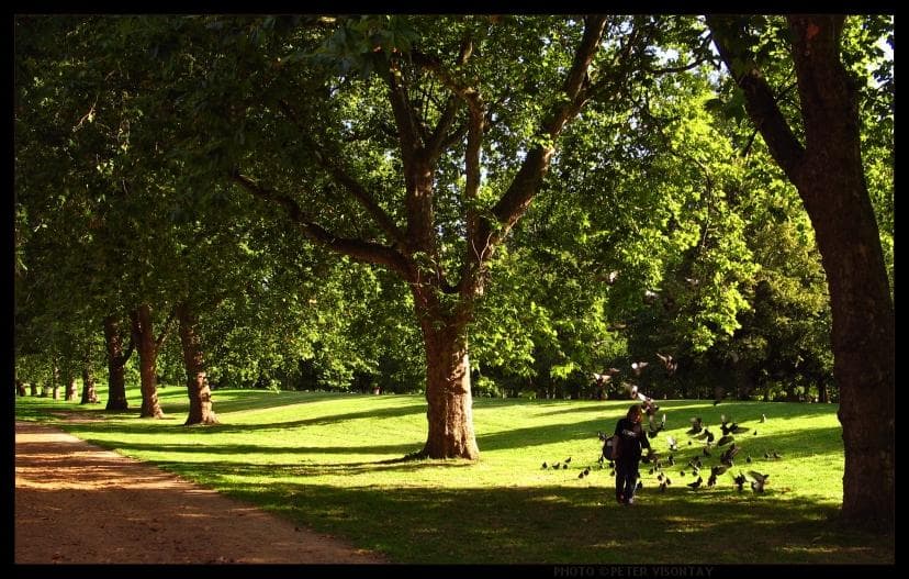Hyde Park