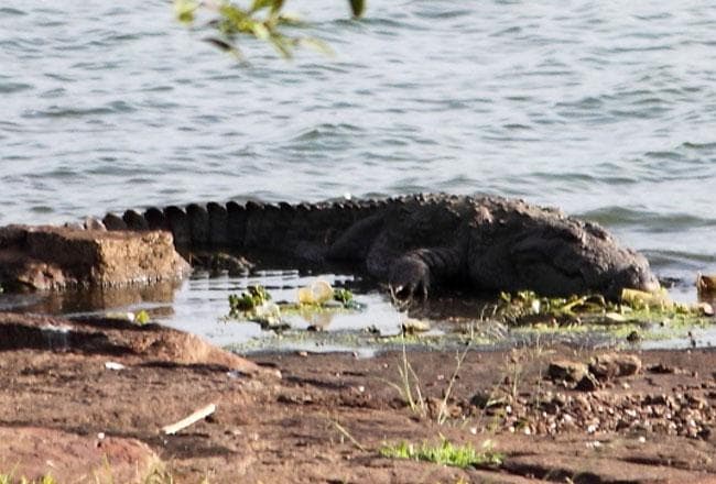 Madhav National Park
